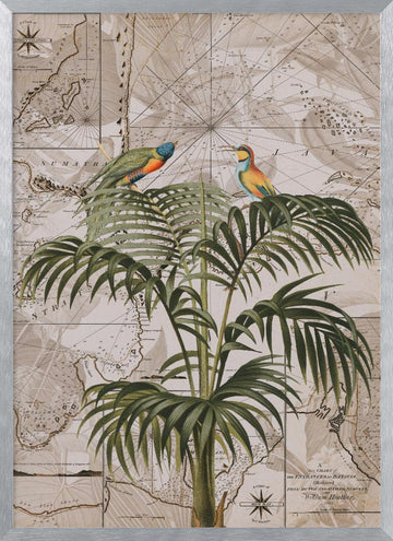 Tropical Birds Vintage Map | Poster - Silver Frame Interior