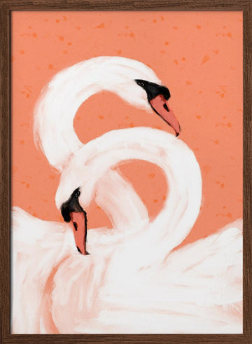 Graceful Swans | Poster - Walnut Frame Interior