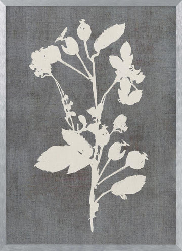 Botanical Rose Silhouette | Poster - Silver Frame Interior