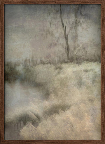 Little ven | Poster - Walnut Frame Interior