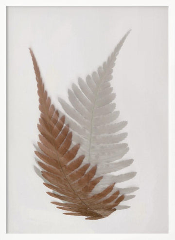 Ethereal Fern Fronds | Poster - White Frame Interior