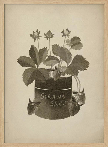 Vintage Strawberry Illustration | Poster - Wood Frame Interior