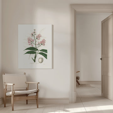 Geoffroya Inermis Medical Botany | Canvas - Room Interior 1