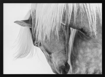 Serene Horse Portrait | Poster - Black Metal Frame Interior