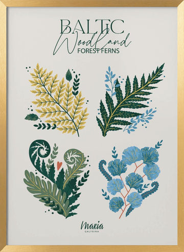 Baltic Woodland Ferns | Poster - Gold Frame Interior