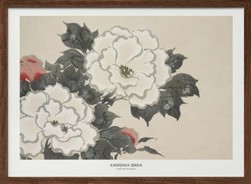 Flowers From Momoyogusa | Poster - Walnut Frame Interior