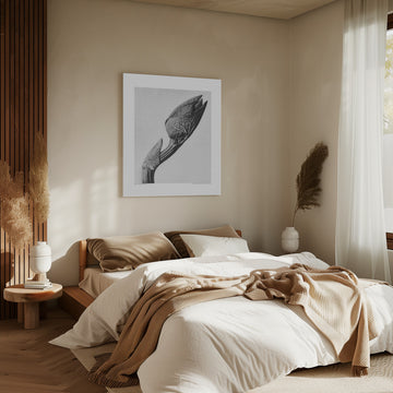 Aristolochia clematitis | Canvas - Room Interior 2