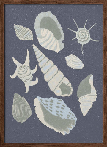 Seashells Collection | Poster - Walnut Frame Interior