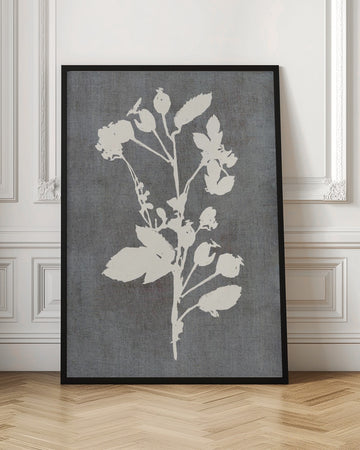 Botanical Rose Silhouette | Poster - Room Interior 1