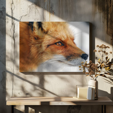 Observant Red Fox | Canvas - Room Interior 2