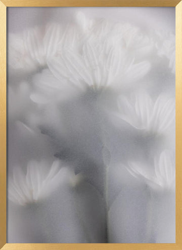 Blurred Flowers 6 | Poster - Gold Frame Interior