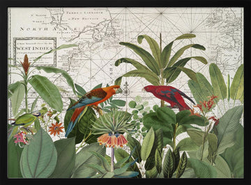 Tropical Map Exploration | Poster - Black Metal Frame Interior