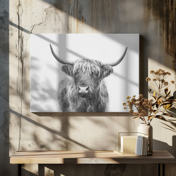Highland Bull | Canvas - Room Interior 2