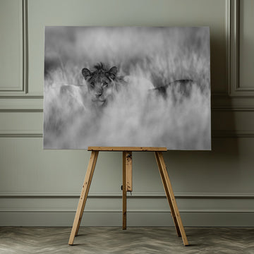 Hidden Lion Gaze | Canvas - Room Interior 1