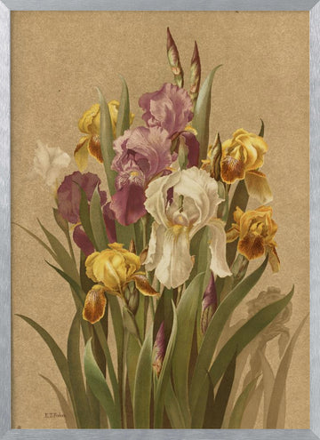 Fleur De Lis, No. 3 | Poster - Silver Frame Interior