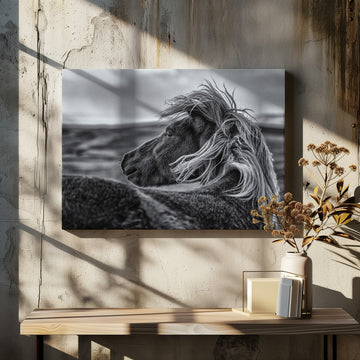 Wild Horse Mane | Canvas - Room Interior 2