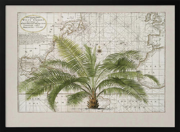 Vintage Caribbean Palm Map | Poster - Black Metal Frame Interior