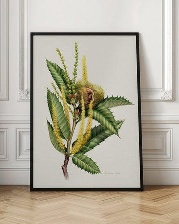 Sweet Chestnut Study | Poster - Room Interior 1