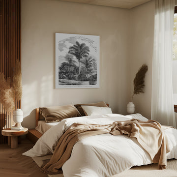 Vintage Palm Tree Drawing Vi | Canvas - Room Interior 2