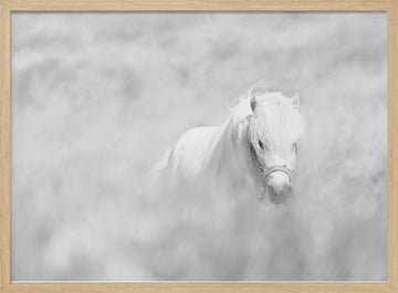 Dreamy White Pony | Poster - Wood Frame Interior