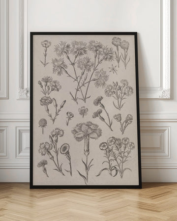 Daffodils | Poster - Room Interior 1