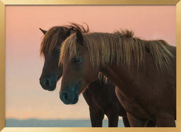 Peaceful Wild Horses | Poster - Gold Frame Interior