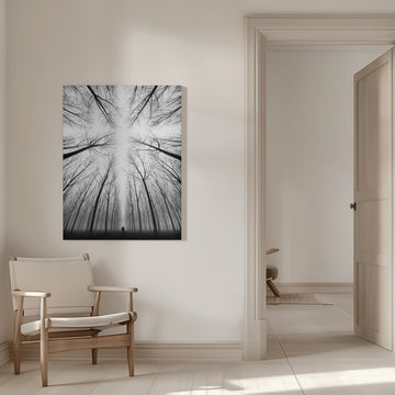 Lone Figure Foggy Forest | Canvas - Room Interior 1