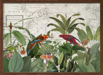 Tropical Map Exploration | Poster - Walnut Frame Interior
