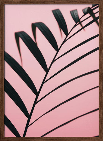 Pink Palm Leaf | Poster - Walnut Frame Interior