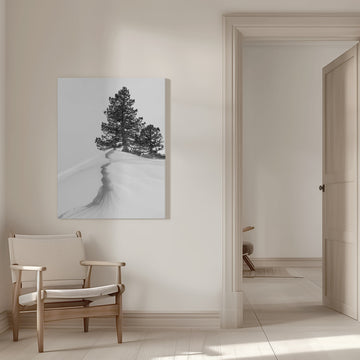 Winter Ridge Pines | Canvas - Room Interior 1