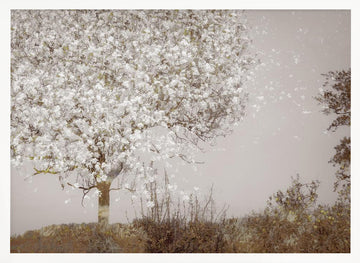 Fruit tree | Poster - White Frame Interior