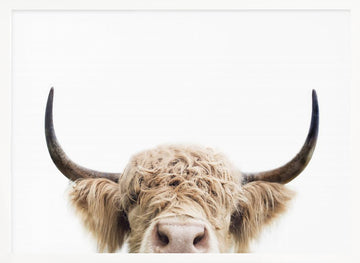 Peeking Cow | Poster - White Frame Interior