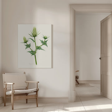 Botanical Sea Holly | Canvas - Room Interior 1