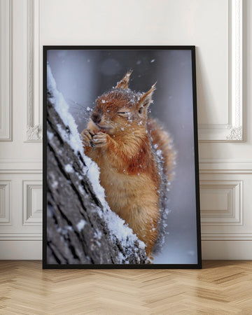 Happy Winter Squirrel | Poster - Room Interior 1