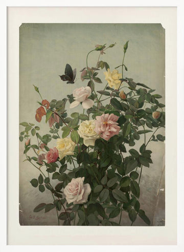 Roses | Poster - White Frame Interior