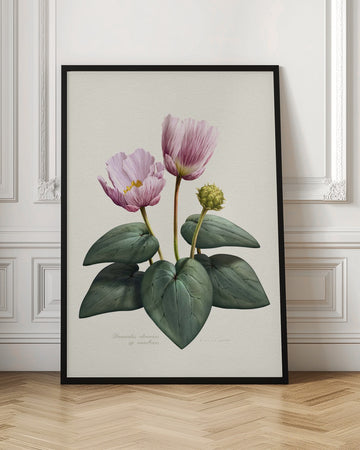 Elegant Pink Botanical Flowers | Poster - Room Interior 1