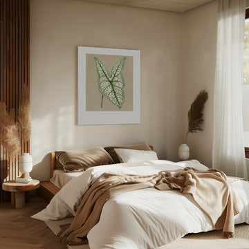 Green Caladium Belleymii Leaf Illustration | Canvas - Room Interior 2