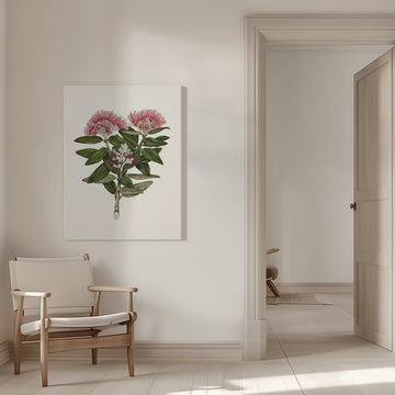 Pohutukawa   Metrosideros Tomentosa Drawn By Sarah Featon (1848–1927) | Canvas - Room Interior 1