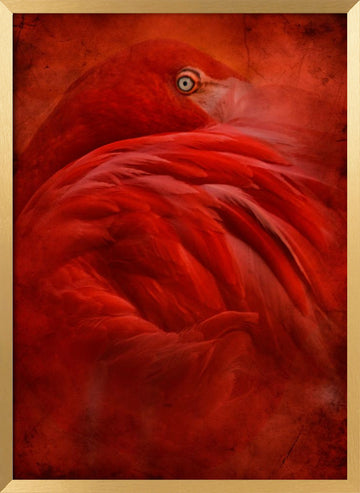 Vibrant Crimson Flamingo | Poster - Gold Frame Interior