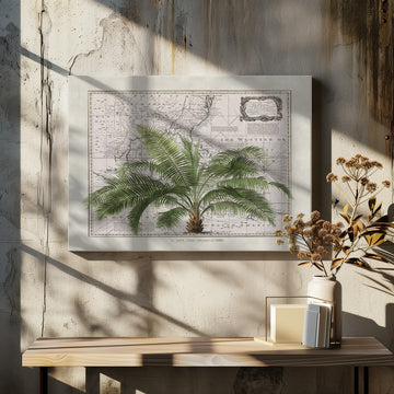 Vintage Map Palm Tree | Canvas - Room Interior 2