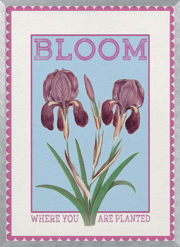 Purple Irises Bloom Quote | Poster - Silver Frame Interior