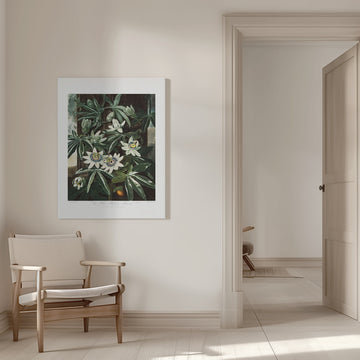 The Passiflora Cerulea from The Temple of Flora (1807) | Canvas - Room Interior 1
