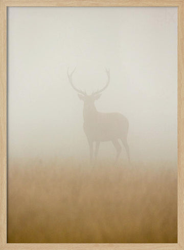 Stag in Morning Mist | Poster - Wood Frame Interior