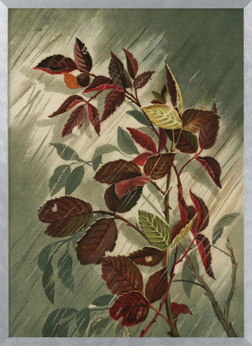 Autumn Leaves In the Rain | Poster - Silver Frame Interior