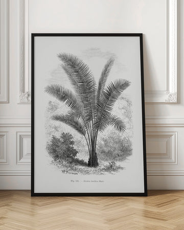 Vintage Palm Tree Drawing Vii | Poster - Room Interior 1