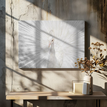 Majestic White Peacock | Canvas - Room Interior 2