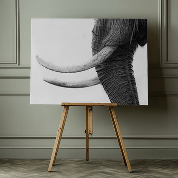 Wild Elephant Close Up | Canvas - Room Interior 1