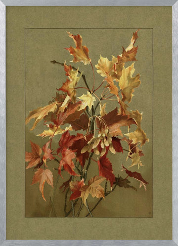 Autumn Leaves, Maple | Poster - Silver Frame Interior