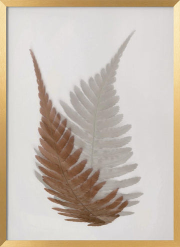 Ethereal Fern Fronds | Poster - Gold Frame Interior