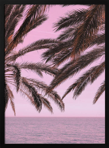 Pink Sky Tropical Palms | Poster - Black Metal Frame Interior
